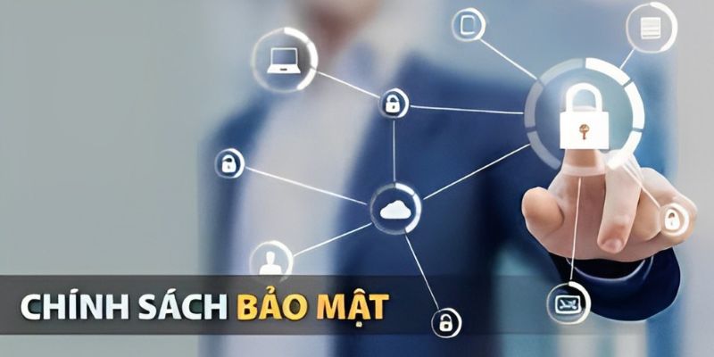 Các loại thông tin được thu thập 
